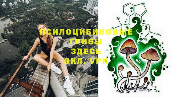 jwh Абаза